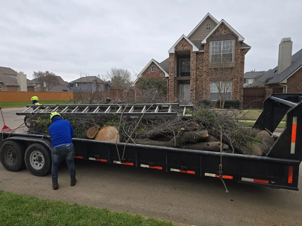 Expert Crown Reduction with proper safety equipment in Chowchilla